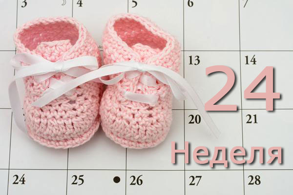 24 неделя беременности: что происходит, развтие