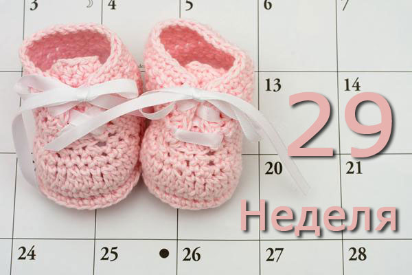 29 неделя беременности: что происходит с мамой и малышом?